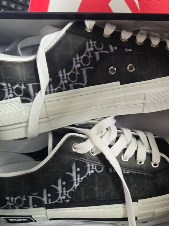 The Dior B23 Low Top Sneakers-Mens